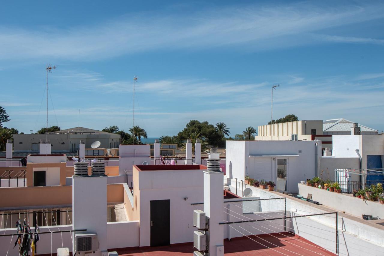 Apartamento La Terraza De La Araucaria - Apartamento Cádiz
